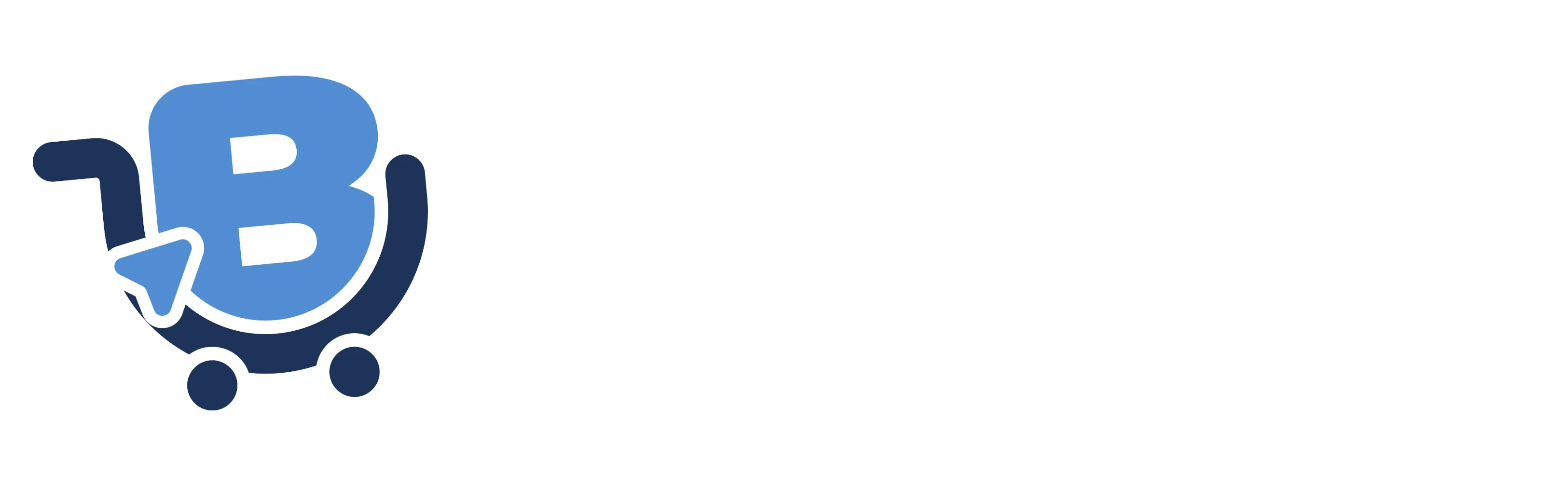 BIZIWAP